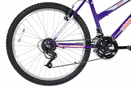 Close-up of a purple bicycle's rear wheel and gear mechanism.