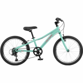 Teal kids' bicycle with black tires and red accents.